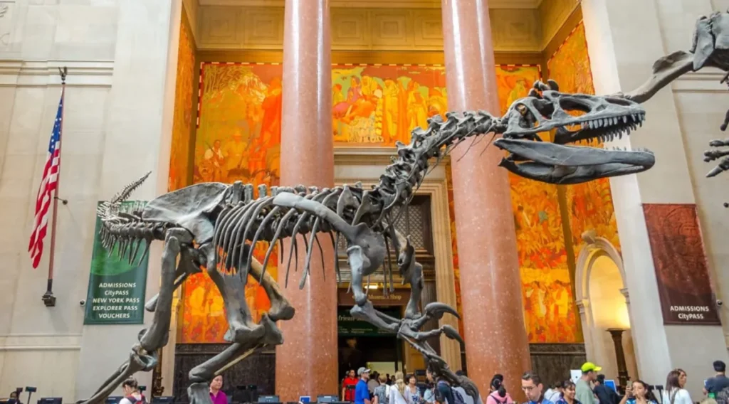 O Museu de História Natural impressiona com exposições icônicas como os esqueletos de dinossauros